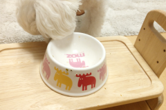 blog23_item4