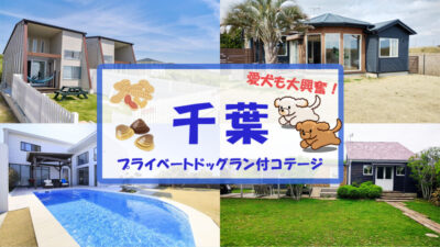 【千葉】犬と泊まれる宿をご紹介！プライベートドッグラン付きで愛犬も大満足！